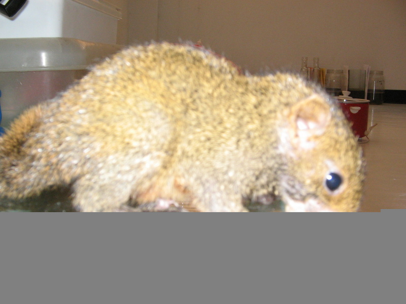 birdmydog; DISPLAY FULL IMAGE.