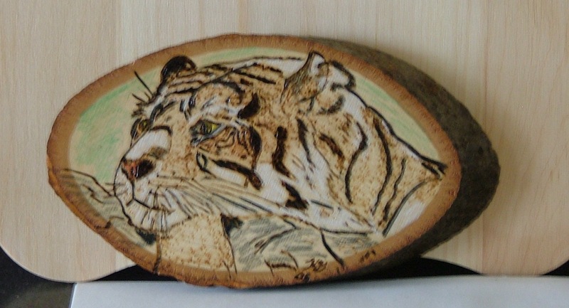 Sumatran tiger.; DISPLAY FULL IMAGE.