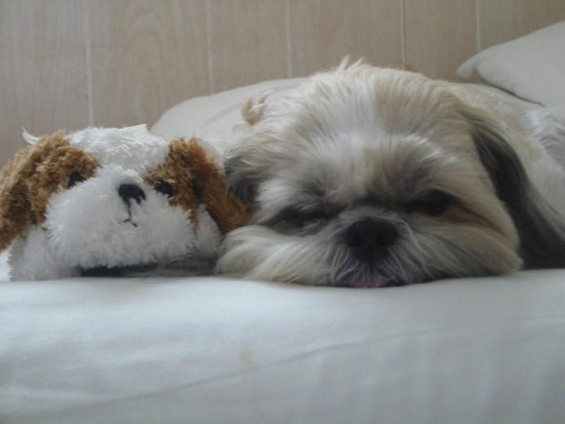 qewpie; DISPLAY FULL IMAGE.