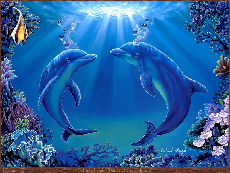 TXscan_12_Belinda_Leigh-Dance_of_the_Dolphins; DISPLAY FULL IMAGE.