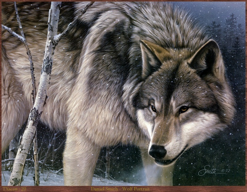 TXscan_20_Daniel_Smith-Wolf_Portrait.jpg; DISPLAY FULL IMAGE.