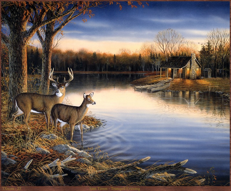 TXscan_23_Sam_Timm-Tranquil_Evening.jpg; DISPLAY FULL IMAGE.