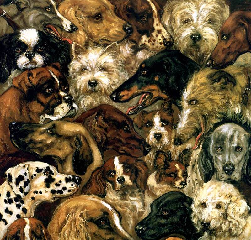 [Animal Awareness 1999 Calendar] February (Dogs); DISPLAY FULL IMAGE.