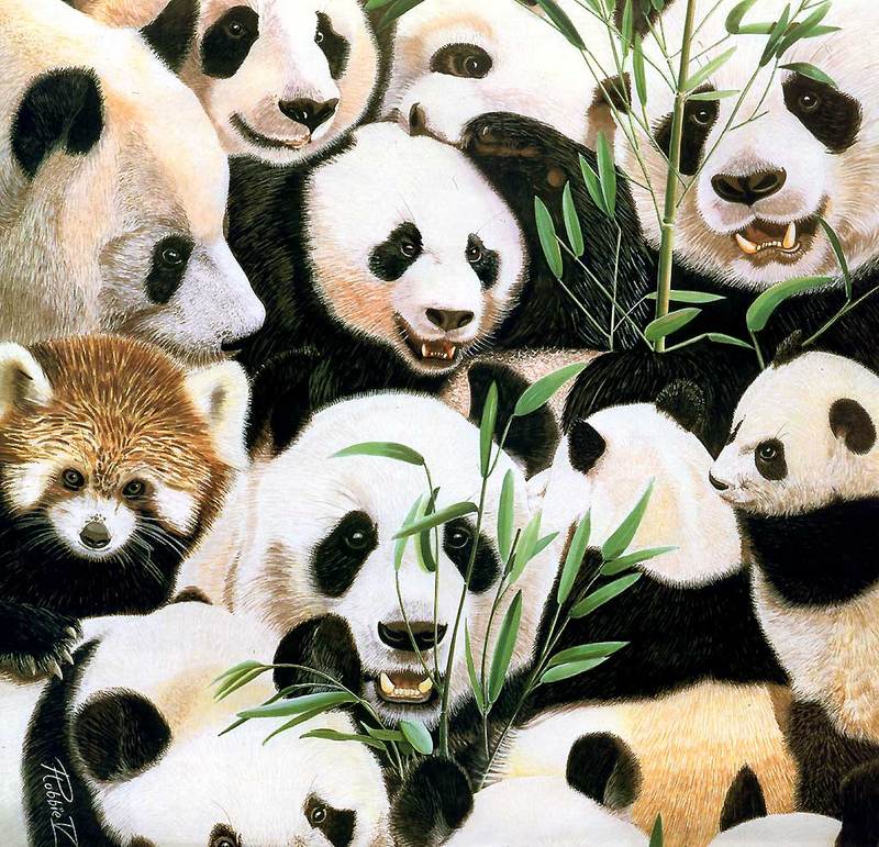 [Animal Awareness 1999 Calendar] April (Pandas); DISPLAY FULL IMAGE.