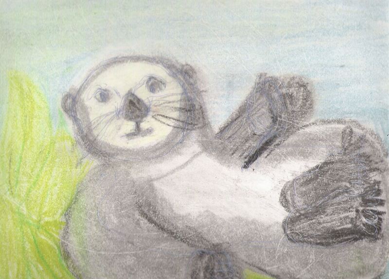 Sea Otter; DISPLAY FULL IMAGE.
