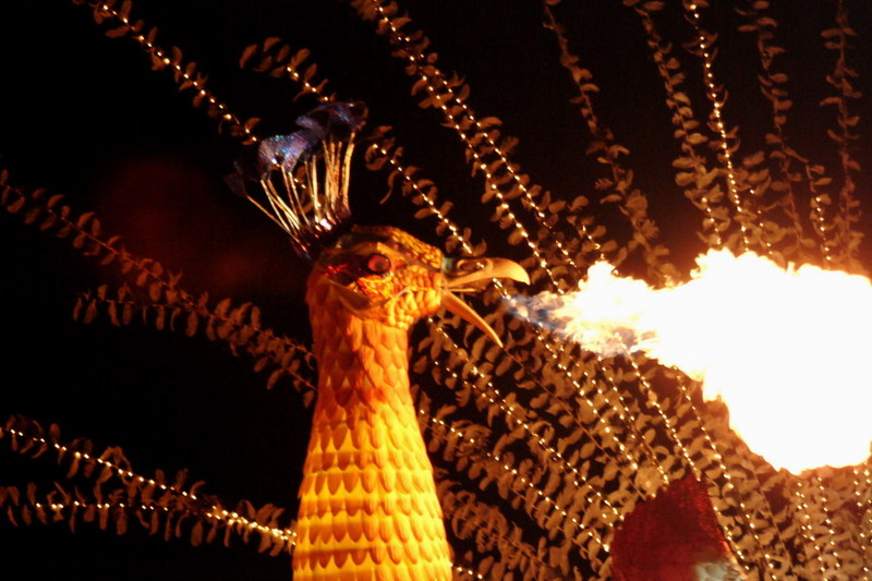 [Animal Lantern] Fire Peacock; DISPLAY FULL IMAGE.