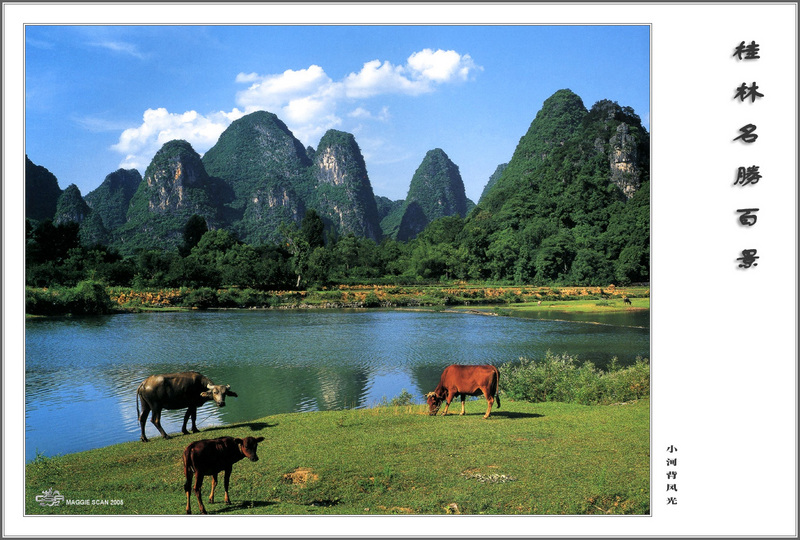 [Maggie Scan] Guilin Lanscape; DISPLAY FULL IMAGE.