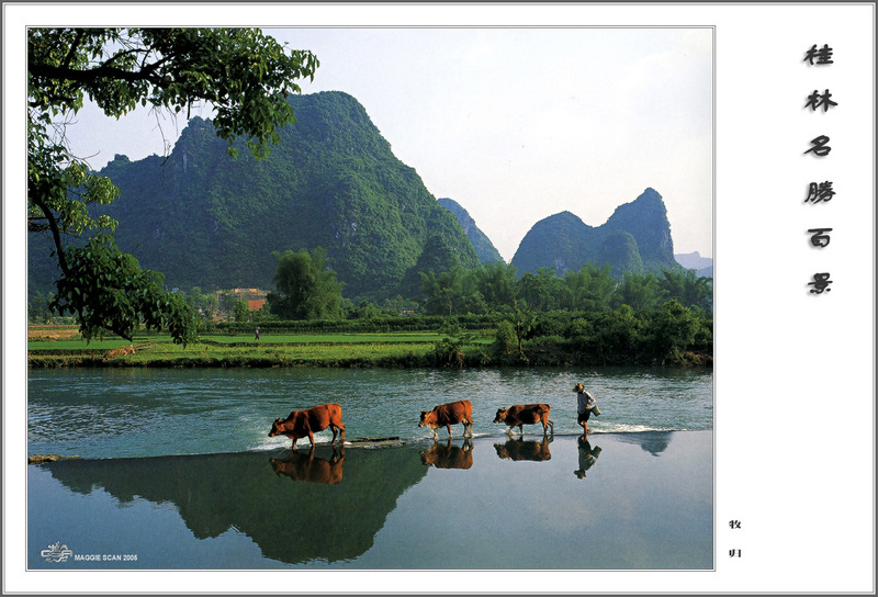 [Maggie Scan] Guilin Lanscape; DISPLAY FULL IMAGE.