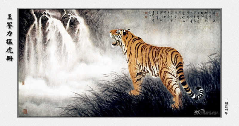 [maggie Scan] Wang Quan Li(Tiger); DISPLAY FULL IMAGE.