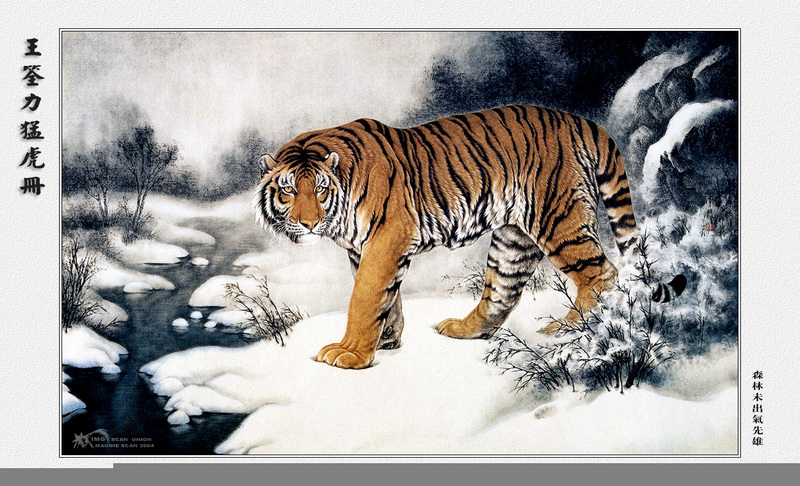 [maggie Scan] Wang Quan Li(Tiger); DISPLAY FULL IMAGE.