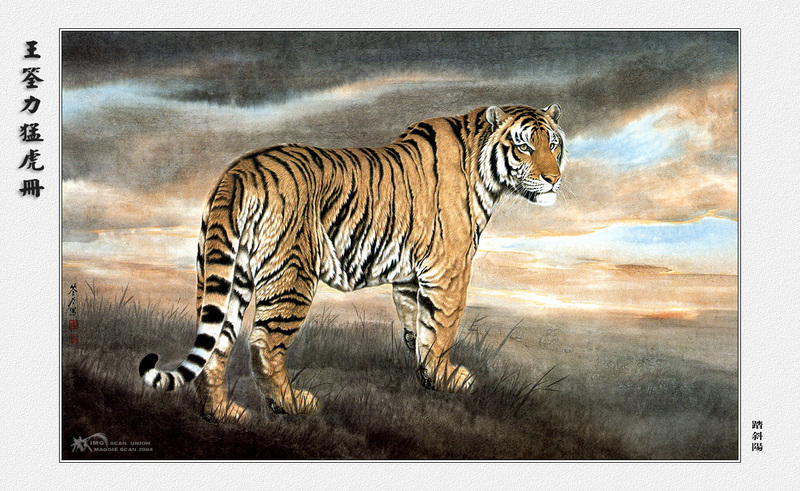 [maggie Scan] Wang Quan Li(Tiger); DISPLAY FULL IMAGE.