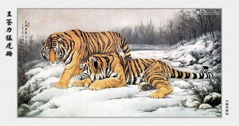 [maggie Scan] Wang Quan Li(Tiger); DISPLAY FULL IMAGE.