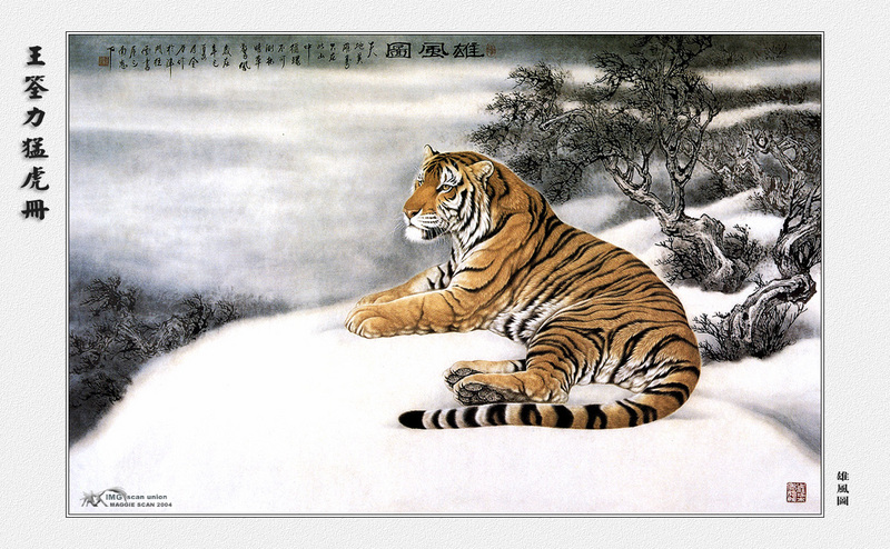 [maggie Scan] Wang Quan Li(Tiger); DISPLAY FULL IMAGE.