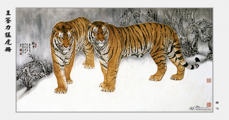 [maggie Scan] Wang Quan Li(Tiger); DISPLAY FULL IMAGE.