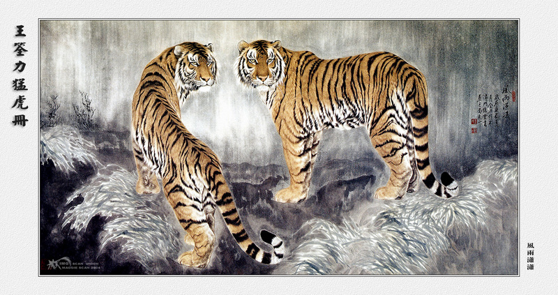 [maggie Scan] Wang Quan Li(Tiger); DISPLAY FULL IMAGE.