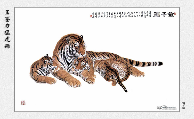 [maggie Scan] Wang Quan Li(Tiger); DISPLAY FULL IMAGE.