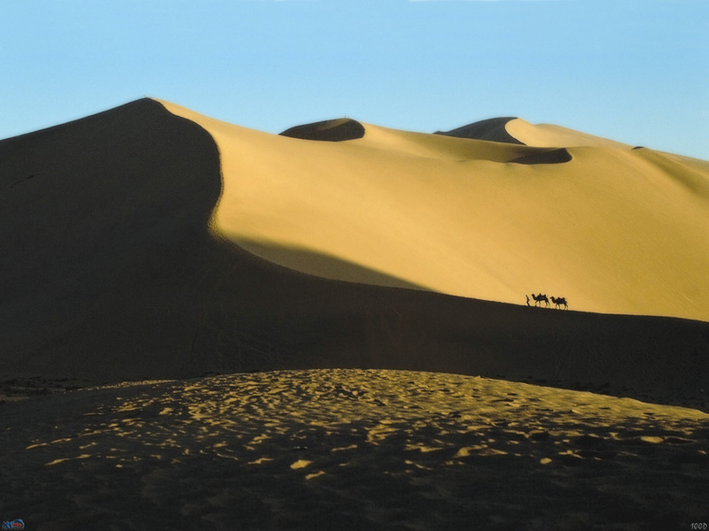[NG] Landscape (Camels); DISPLAY FULL IMAGE.