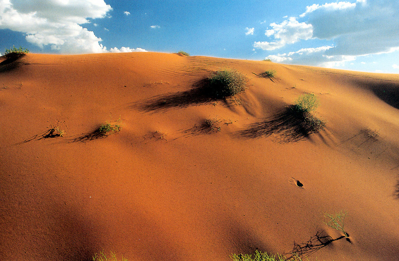 [Baptist Church Australia 1996 Calendar] desert sands; DISPLAY FULL IMAGE.