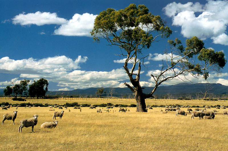 [Baptist Church Australia 1996 Calendar] rural australia; DISPLAY FULL IMAGE.