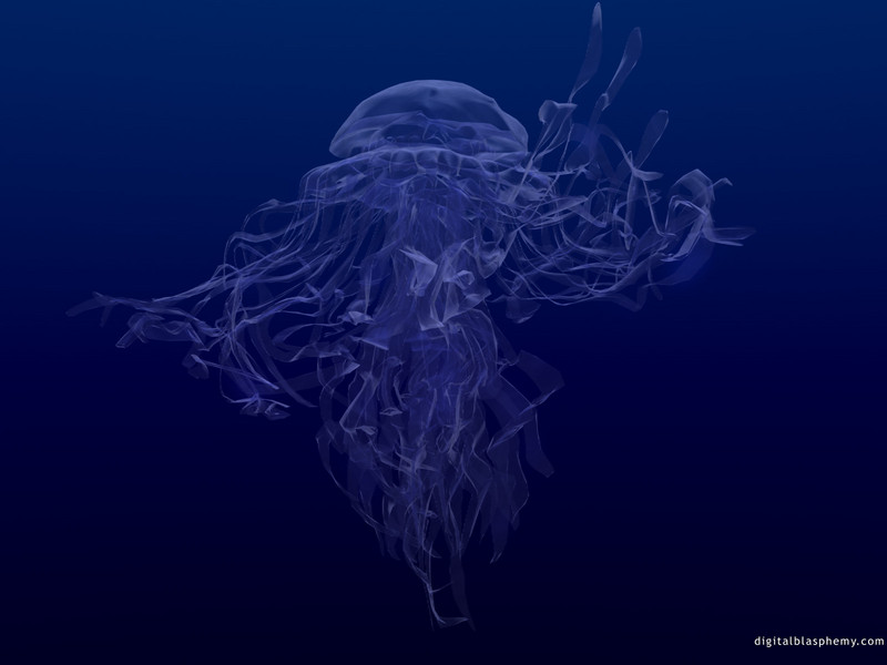[Digital Blasphemy] 6 Jellyfishes; DISPLAY FULL IMAGE.