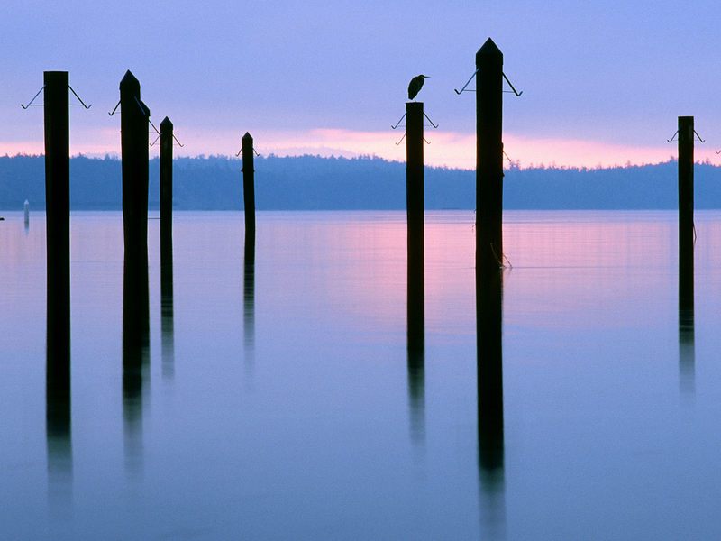 Sidney-by-the-Sea, British Columbia, Canada; DISPLAY FULL IMAGE.