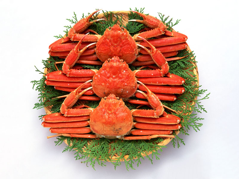 Crab; DISPLAY FULL IMAGE.
