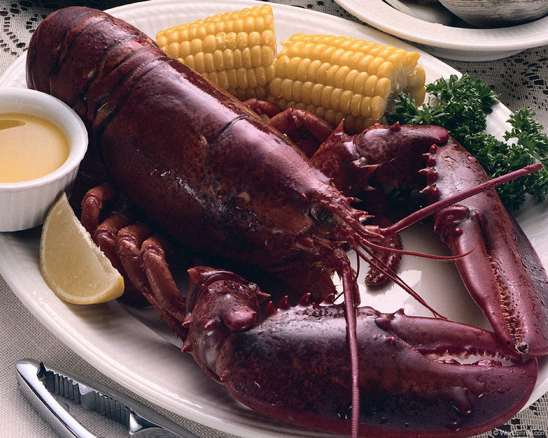 Lobster; DISPLAY FULL IMAGE.