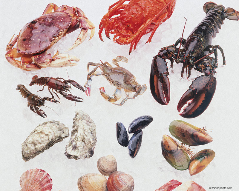 Crabs and lobsters; DISPLAY FULL IMAGE.