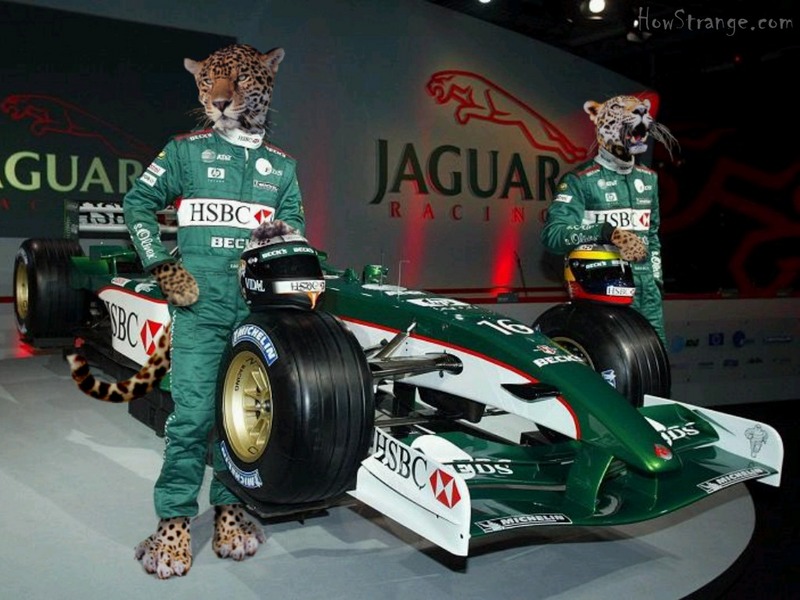 Jaguar racing; DISPLAY FULL IMAGE.