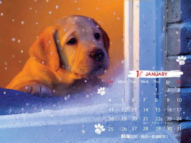 2006 Puppy Calendar - 01; DISPLAY FULL IMAGE.