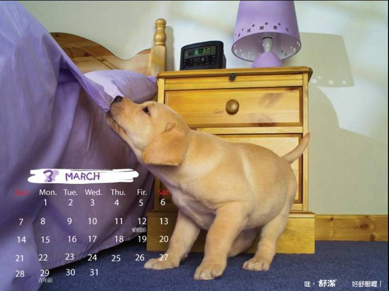 2006 Puppy Calendar - 03; DISPLAY FULL IMAGE.