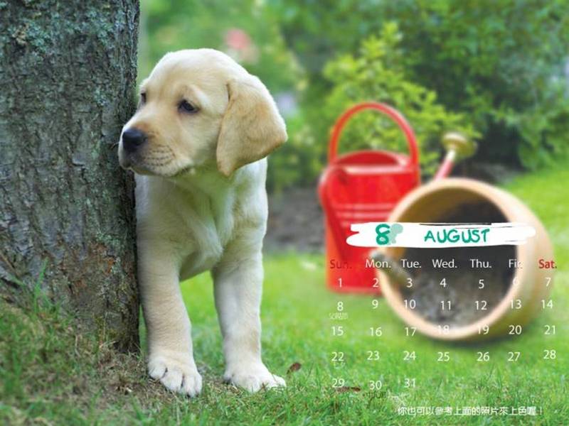 2006 Puppy Calendar - 08; DISPLAY FULL IMAGE.