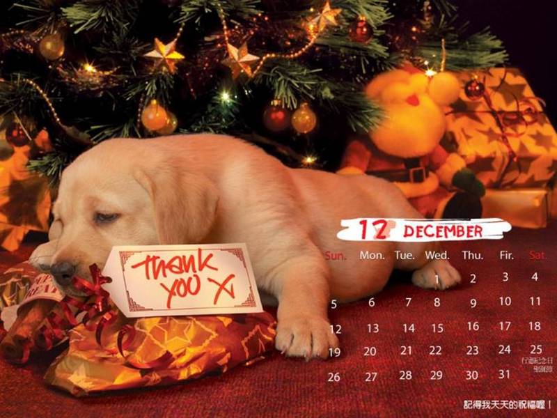 2006 Puppy Calendar - 12; DISPLAY FULL IMAGE.