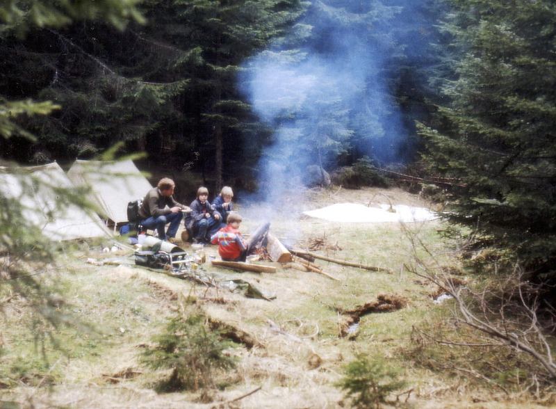 animals; DISPLAY FULL IMAGE.