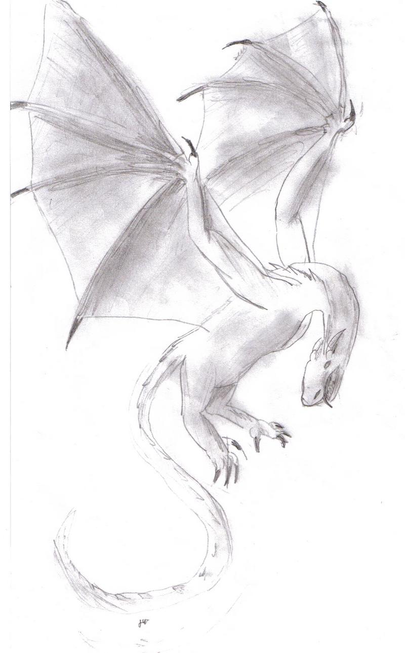Dragon; DISPLAY FULL IMAGE.