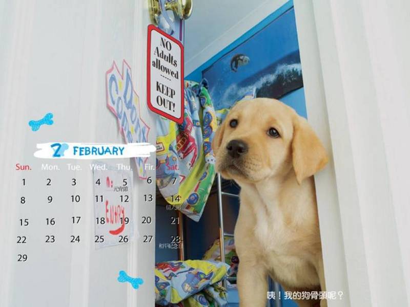 Cute puppy calander; DISPLAY FULL IMAGE.