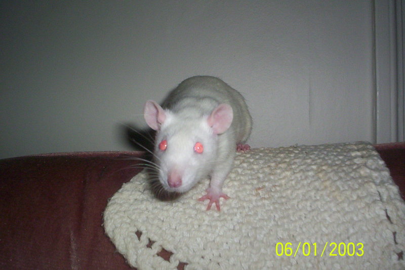 Baby Girl; DISPLAY FULL IMAGE.