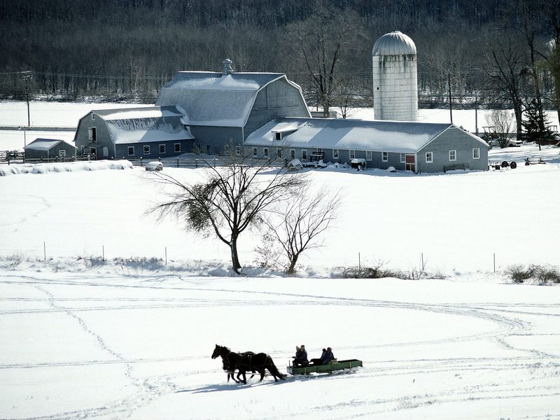 [Daily Photos] Sleigh Ride; DISPLAY FULL IMAGE.