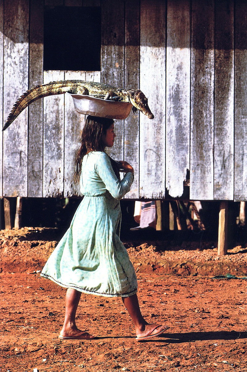 Cayman lizard on woman's head in Peru; DISPLAY FULL IMAGE.