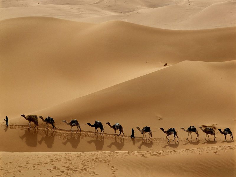 [Daily Photos] Camel Caravan, Libya; DISPLAY FULL IMAGE.