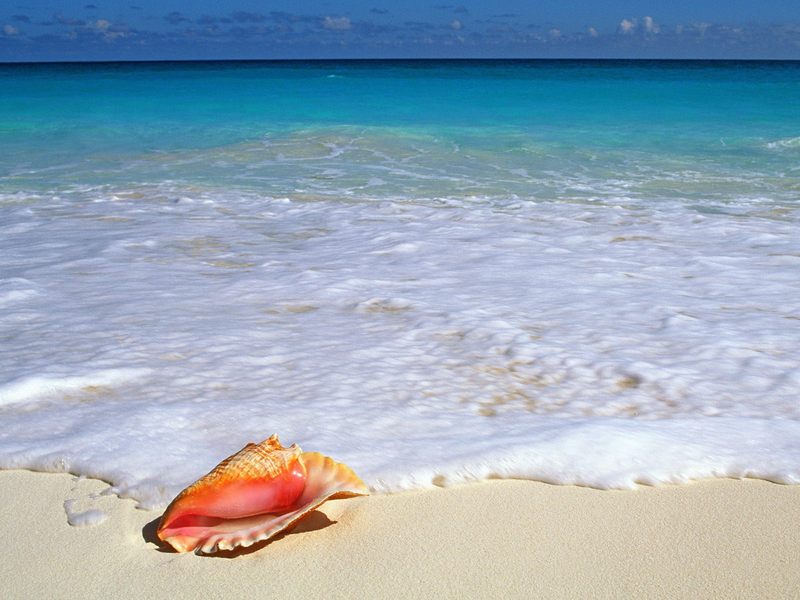 [Daily Photos] Beachside Treasure, Yucatan Peninsula, Mexico; DISPLAY FULL IMAGE.
