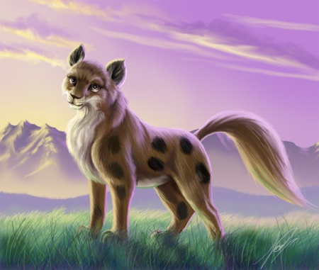 Display full image