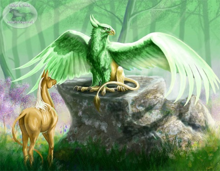 Display full image