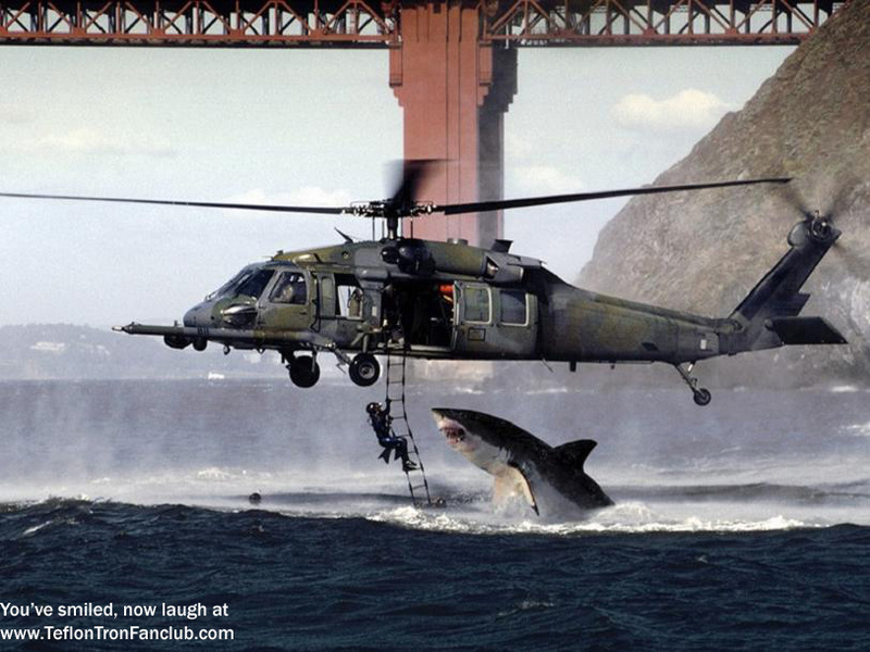 Shark vs Navy Seals; DISPLAY FULL IMAGE.