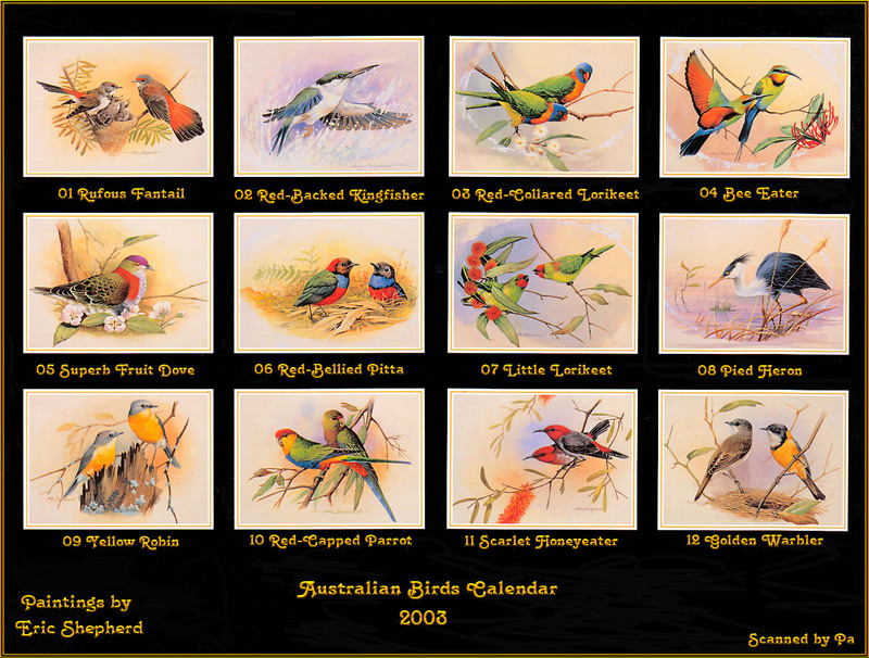 [Eric Shepherd's Australian Birds Calendar 2003] Index; DISPLAY FULL IMAGE.