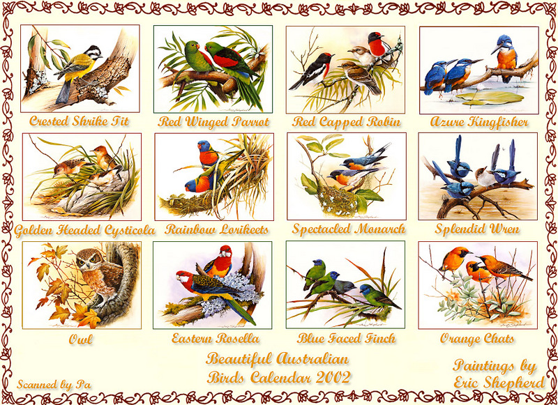 Eric Shepherd #39 s Beautiful Australian Birds Calendar 2002 Index