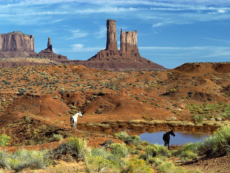 [Daily Photos] Wild Horses at the Watering Hole Monument Valley; DISPLAY FULL IMAGE.