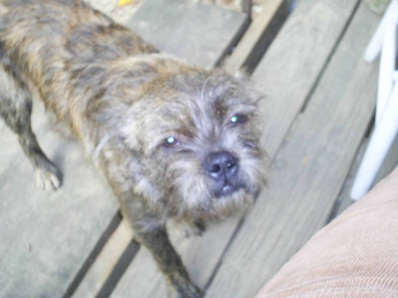 My baby Punk; DISPLAY FULL IMAGE.