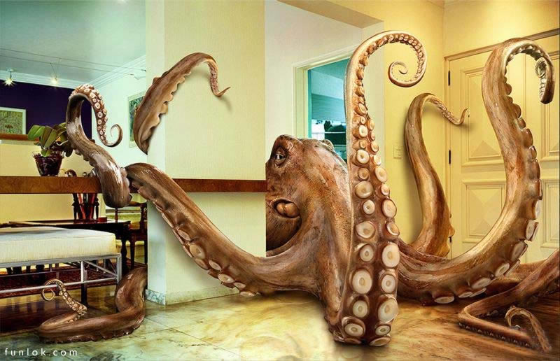 House Guest - Octopus; DISPLAY FULL IMAGE.