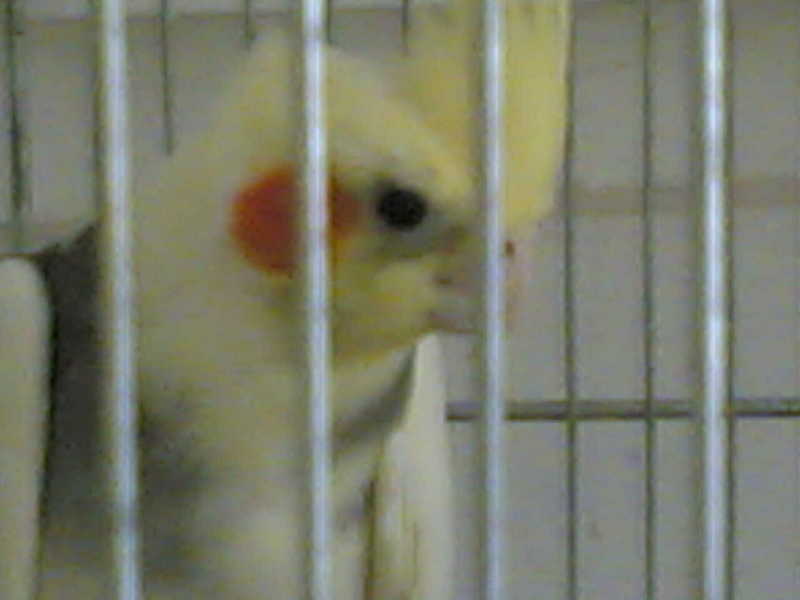 ???? ????????; DISPLAY FULL IMAGE.